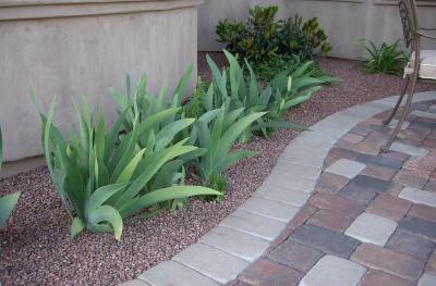 Edge of the Patio